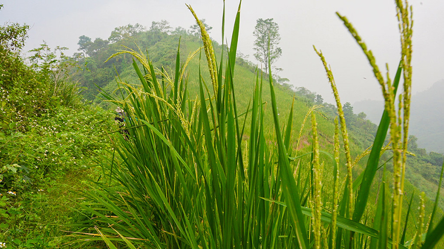 Ba Be paradise of biodiversity