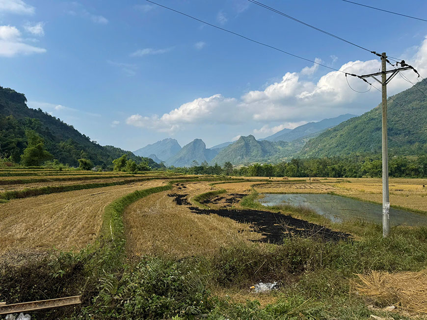 Scenic-Road