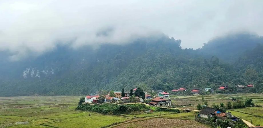 Kim Hy: Unexplored horizons of Upper Tonkin