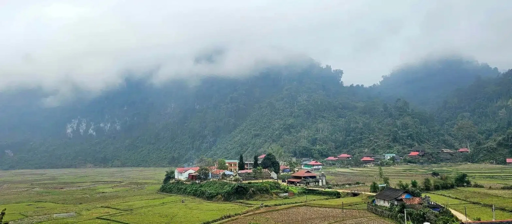 Kim Hy: Unexplored horizons of Upper Tonkin