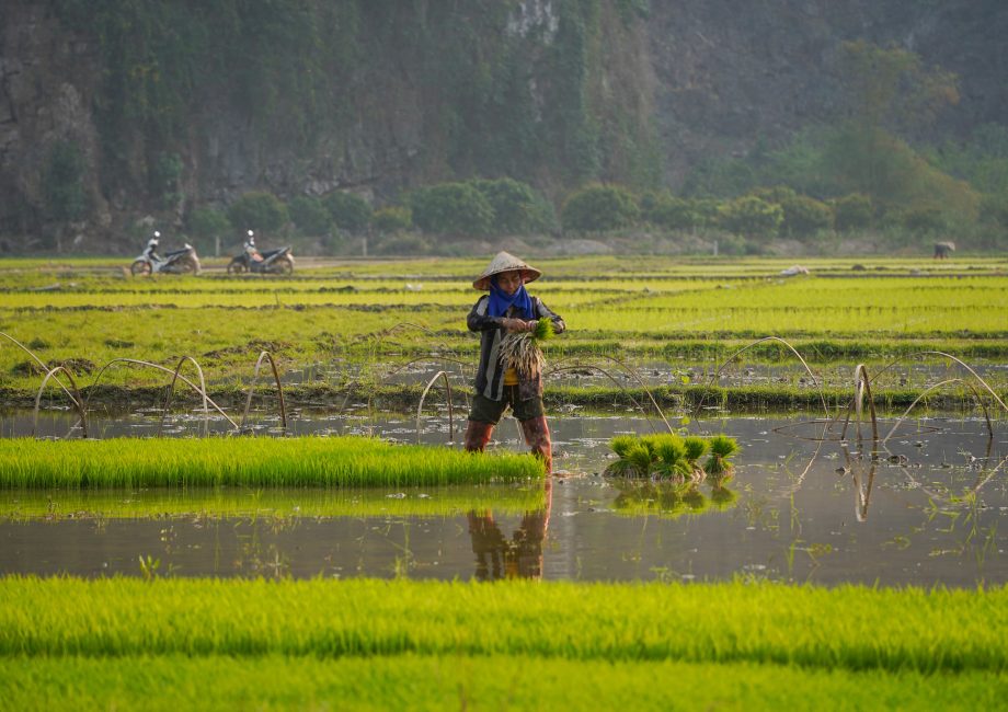 Lang Son and the new province of Thai Nguyen