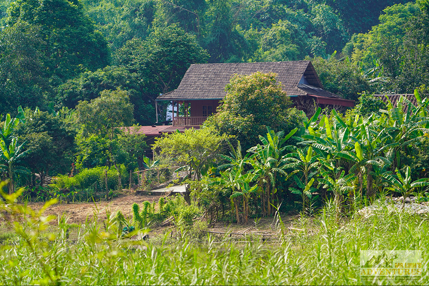Traditional Stilt House of Tay People