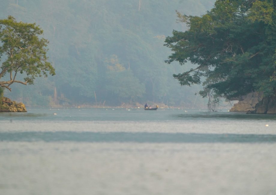 Têt in Ba Be: What if the real New Year was celebrated in black and green?